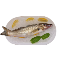 Sand Whiting 400-450g